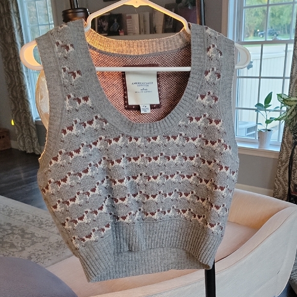American Eagle Outfitters Gray and Brown Knit Sweater Vest - Picture 1 of 5
